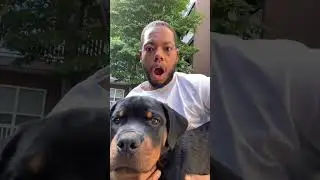 Can we all agree to teach kids AND dogs better boundaries with all living things?!