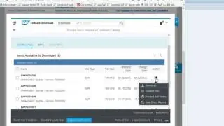 SAP SPAM SAINT UPDATE