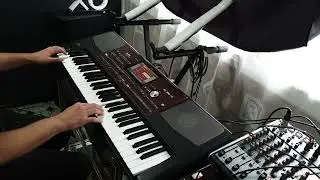 Lady Lillie, Get out of my Life korg pa700