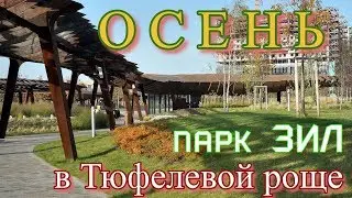 Осень в Тюфелевой роще