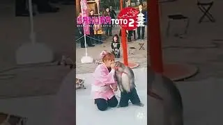SAKURATOTO GRUP | MONYET PINTAR | VIDEO LUCU | NGAKAK KOCAK
