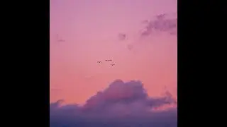 ambient / acoustic type beat - cassiopée (prod. aurore.)