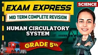 Human Circulatory System || Midterm Revision For Class 5th || Exam Express