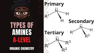 27.1 Amines
