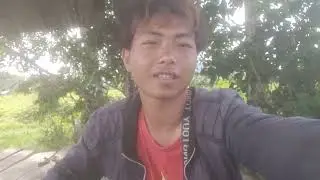 Bẫy chim cút ngày cũng hiệu quả như ban đêm