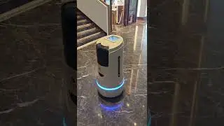 Robot used for delivery in Chinese hotels
