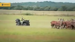 Квадроцикл Baltmotors ATV500 и ATV700