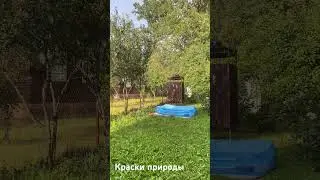 #shorts у природы нет плохой погоды