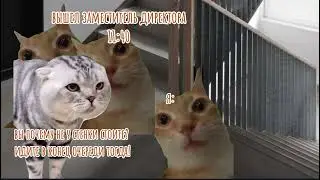 пов: как я получала форму в колледже #мемныекоты