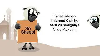 Khidmada dirashada waa 0. Isticmaal sumadda Eid24.