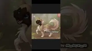 Няшные котики посещаются моим подругам