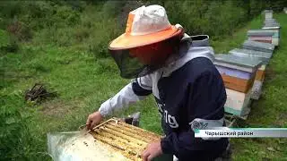 Телевидение на горной, алтайской пасеке.