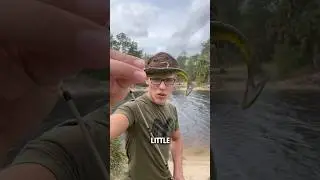 Fishing with this swim bait