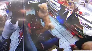 Video Shows Gun Fight Between Robbers and Worker Inside Philly Store