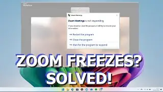 ZOOM Freezes, Crashes & Closes? 5 Ways to Fix It