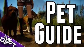 Black Desert Online | PET GUIDE! How to Breed!