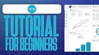 How To Use Xero For Beginners (Xero Tutorial For Beginners 2024)