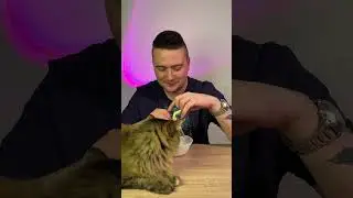 СУХОЙ СУП ИЗ КОРЕИ