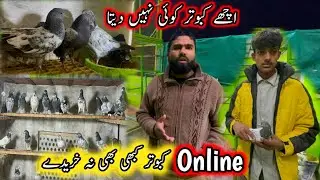 Online Kabootar Kabhi Ne Khariday 🤔