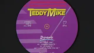 Teddy Mike - Summer Nights