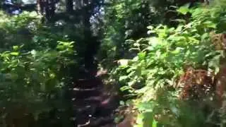 InterAm 2015. Oregon trail #1
