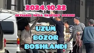ОЛТИАРИК МЕВА ЭКСПОРТ БОЗОРИ .2024.10.22