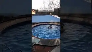 Один из самых посещаемых Парк-отелей с бассейном под открытым небом