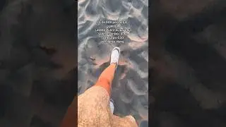 IG➡️ raminta.gri rašyk 