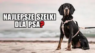 Jakie szelki dla psa i  dlaczego szelki GUARD to dobry wybór?