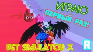 😱ПЕРВЫЙ РАЗ ИГРАЮ В ПЕТ СИМУЛЯТОР ИКС!🐶Roblox Pet Simulator X😺