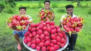 150kg DRAGON FRUIT | Homemade Dragon Fruit Jam Recipe | village food