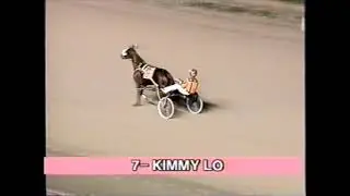 1995 Scioto Downs DIRECT PAY Darin Mouser OHSS 3YO Fillies Pace $14,600