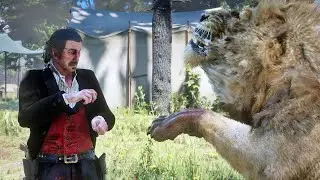 lions invade camp