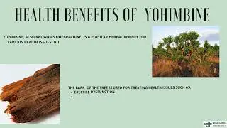 health benefits of Yohimbine
