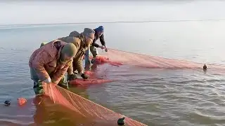 Большая рыба. Часть 2 | С Полем!