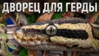 THE MOST BEAUTIFUL TERRARIUM FOR THE ROYAL PYTHON. HOW TO MAKE A 3D TERRARIUM BACKGROUND.