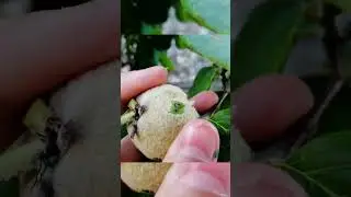 Мы не знаем что это такое, если бы мы знали, а то мы не знаем что это такое #travel #история