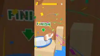 hamster lucu sing ada lawan | Hamster maze