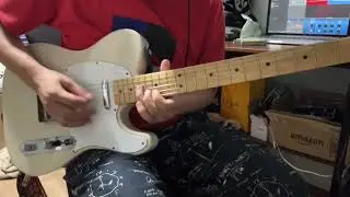 【弾いてみた】人魚/ポルカドットスティングレイ