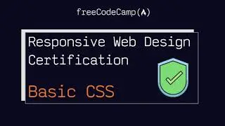 🔴 Basic CSS | ALL SOLUTIONS | freeCodeCamp