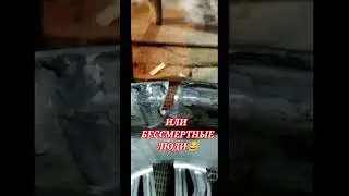 ЖЕСТЬ