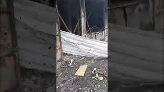 Угледар 2022  Рынок