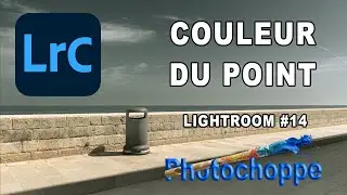 LR14 COULEUR DU POINT LIGHTROOM
