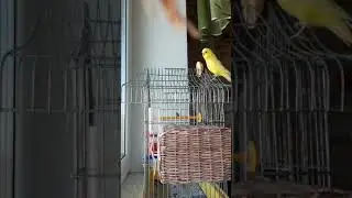 Привет красотульчик