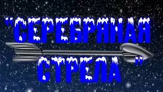 Новогоднее театрализованное  представление 