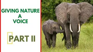 Giving Nature a Voice:  The Towering Beauty - Part II