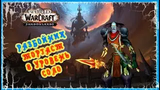 ГАЙД РАЗБОЙНИК ТОРГАСТ СОЛО (8 УРОВЕНЬ СЛОЖНОСТИ) 🔥 GUIDE ROGUE TORGHAST SOLO
