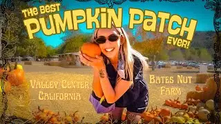The BEST Pumpkin Patch in California?! 🎃 Bates Nut Farm Adventure!