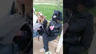Маффин загарает #фурри #фурсьют