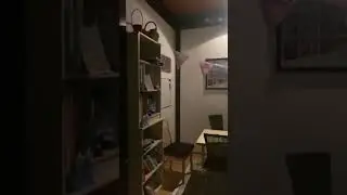 Готовим день рождения для Алисы